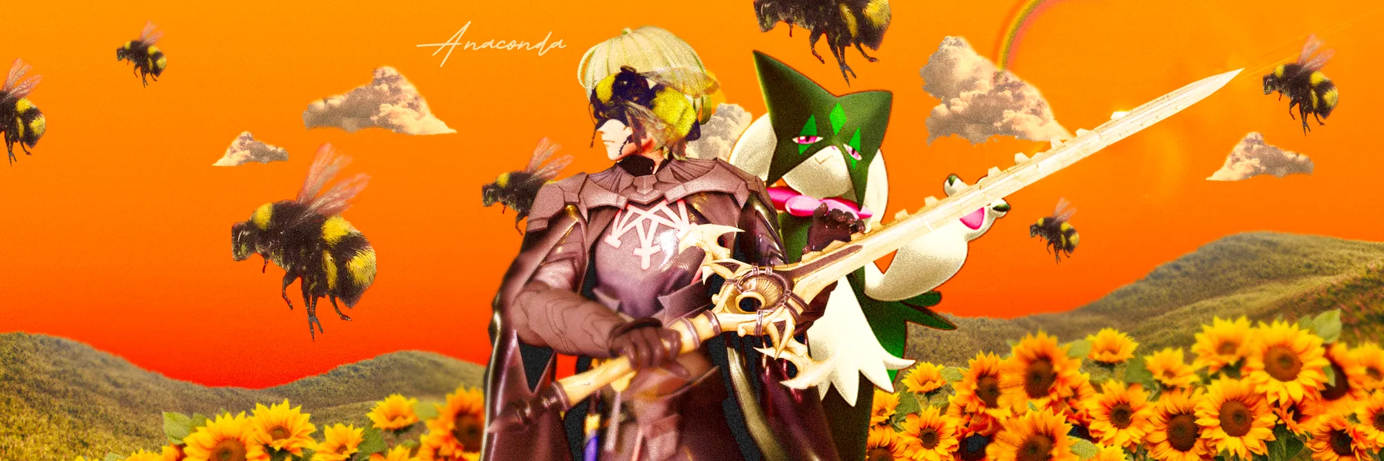 Anaconda Banner